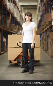 Businesswoman Pulling Pallet In Warehouse