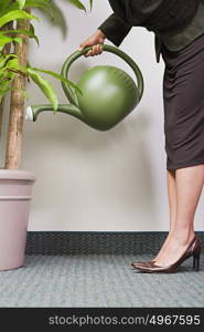 Businesswoman watering plant