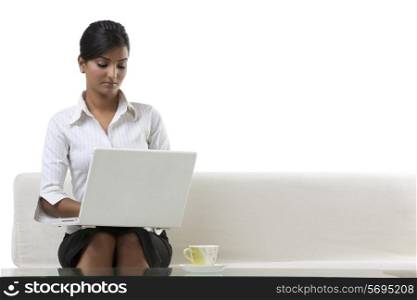 Businesswoman with a laptop