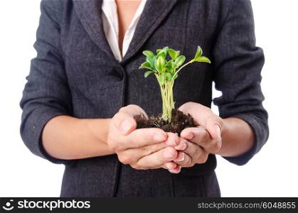 Businesswoman with seedling on white