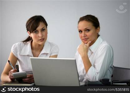 Businesswomen collaborating