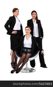 Businesswomen posing together