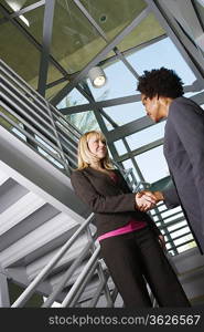 Businesswomen Shaking Hands