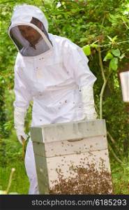 busy beekeeper