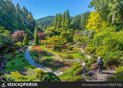 Butchart Gardens at Victoria, Vancouver Island, Canada in summer. View of the colorful flowers and trees of the historic garden.