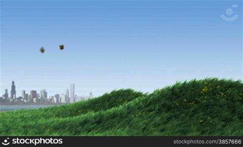 Butterflies fly across in the first three seconds. Animated grassy knoll with yellow flowers in the wind, with a city skyline on the coast in the distant background