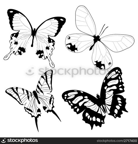 Butterflies in black and white