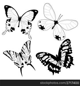 Butterflies in black and white