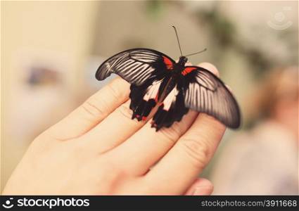 Butterfly on hand in nature, retro tinted
