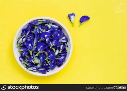 Butterfly pea flower on yellow background. Copy space