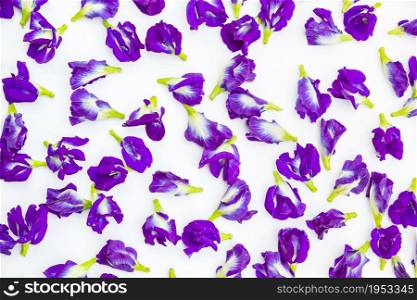Butterfly Pea, Purple On White Background.