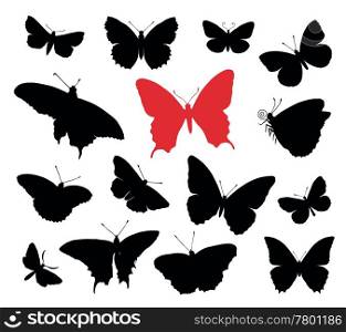 Butterfly silhouettes collection isolated in white background.. Butterfly collection