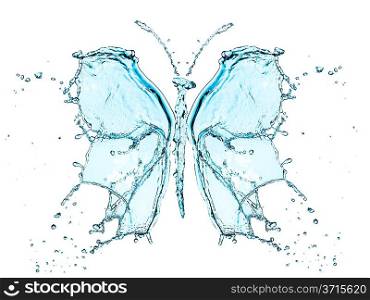 Butterfly splashing water isolated on a white background
