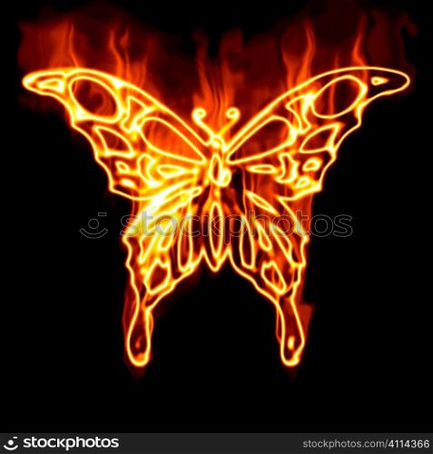 butterfly surrounded by fire on a white background
