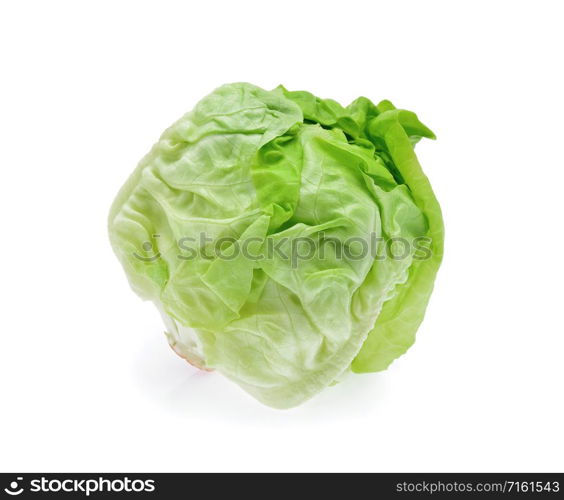 butterhead lettuce isolated on white background