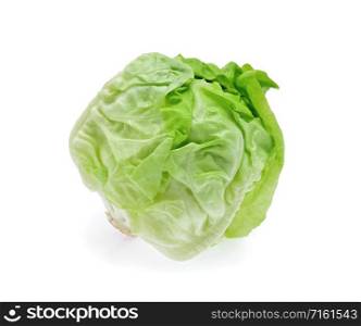 butterhead lettuce isolated on white background