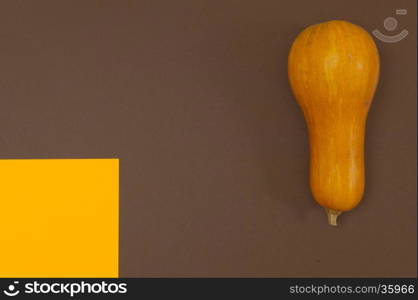 Butternut squash isolated on brown and orange split background with copy space