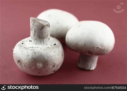 button mushrooms, champignons.