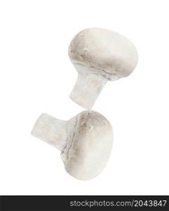 Button mushrooms on white background