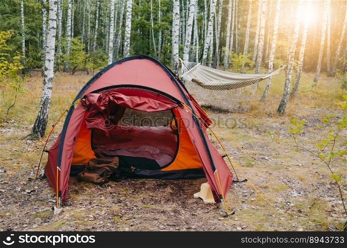 C&ing red tent in birch grove. Hammock, sunset light. Adventure,travel,leisure. High quality photo. C&ing red tent in birch grove. Hammock, sunset light. Adventure,travel,leisure
