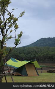C&ing tent in tropical forest
