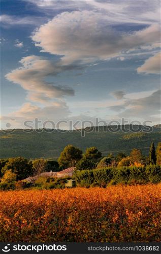 C;ouds over the Wineyard in Provence (South of France)