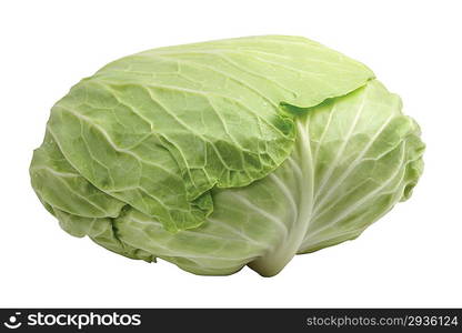 Cabbage