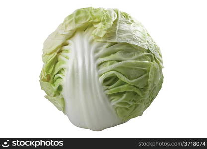 Cabbage