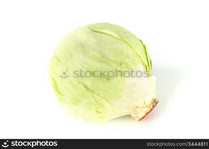 cabbage isolated isolated on white background