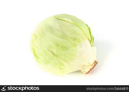 cabbage isolated isolated on white background