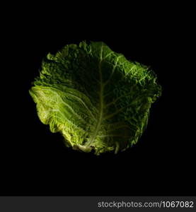 Cabbage leaf in studio on black background
