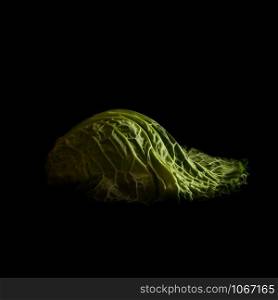Cabbage leaf in studio on black background