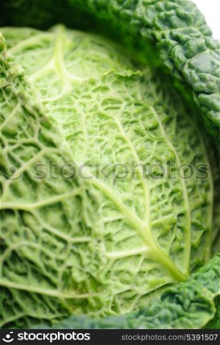 Cabbage leaf texture clouse up, nature background