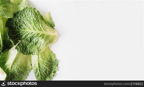 cabbage leafs white background