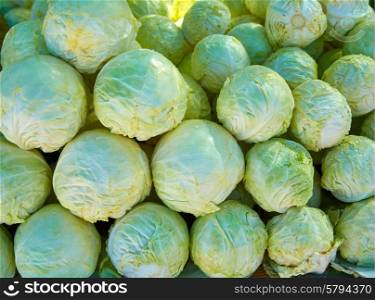 cabbage pattern texture stacked in market outdoor