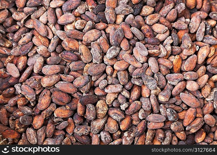 Cacao beans as a background