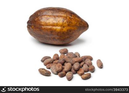 Cacao fruit and cocao beans on white background