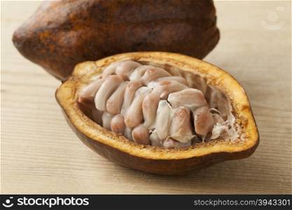 Cacao fruit and raw cocao beans in the pod close up