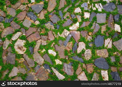 Caceres stones floor detail with grass in Spain Extremadura