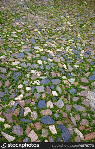 Caceres stones floor detail with grass in Spain Extremadura