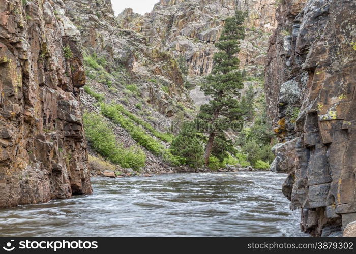 Cache la Poudre River at Little Narrows, springtime scenery with snow melt run off