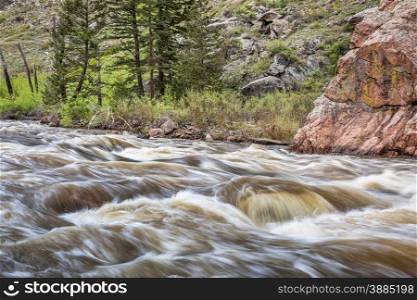 Cache la Poudre River west of Fort Collins in northern Colorado - springtime scenery with a snow melt run off