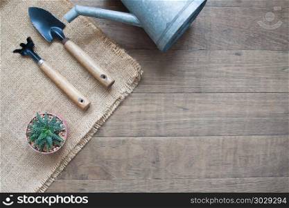 Cactus in pot plant with garden tools, Flat lay