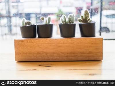 Cactus plant pot decorated wooden table, stock photo