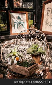 Cactus, plants pot and decoration ornaments on iron chair in vintage greenhouse