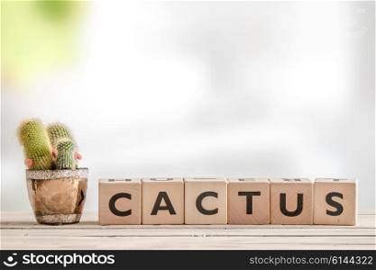 Cactus sign with a plant on a table