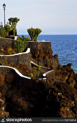 cactus street lamp chain hill coastline lanzarote in spain musk pond beach water and summer &#xA;