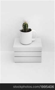 cactus white mug stacked books isolated white background