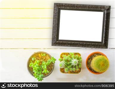 cactus with blank picture frame isolated on white use for texts display put on wooden tabletop
