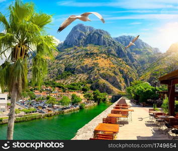 Cafe near the fortification of Kotor, C&ana Tower old town, Montenegro